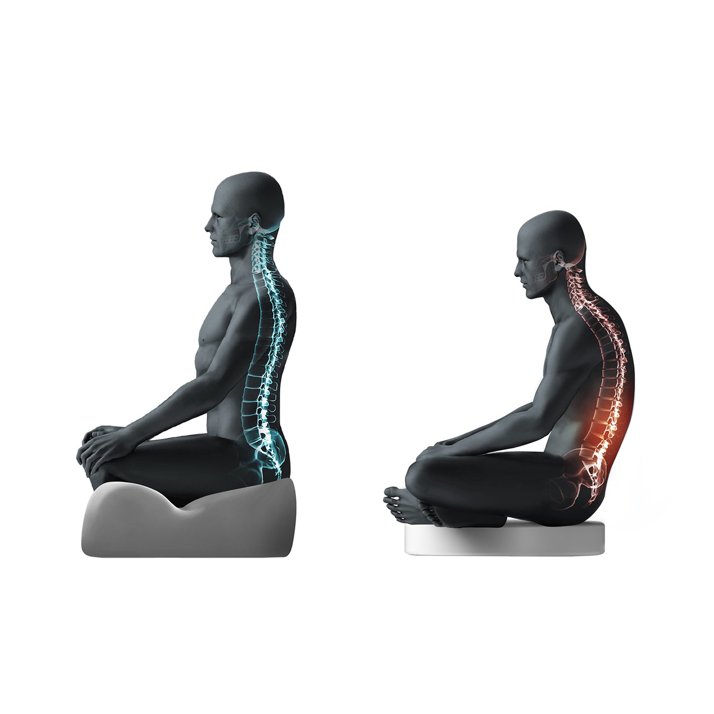 Shine Meditation Seat - Cynicism